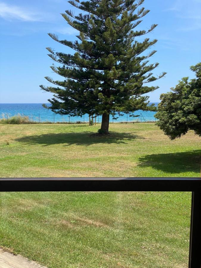 Appartement N 216 Moriani Plage Santa-Lucia-di-Moriani Ngoại thất bức ảnh